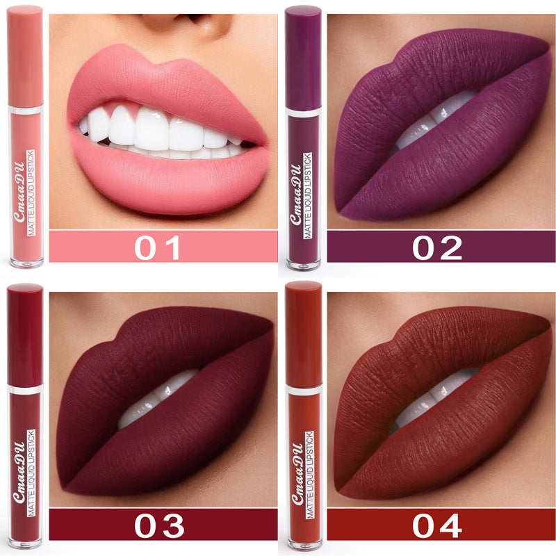 Four matte liquid lipstick swatches with tubes: shades 01 to 04 on lips