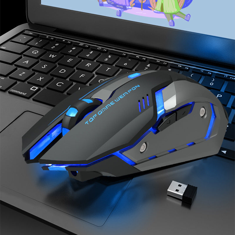 Black wireless gaming mouse with blue LED lights and USB charging dongle