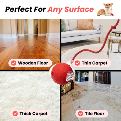 Red electric cat rolling ball toy with textured shell and long red rope tail on different floor types