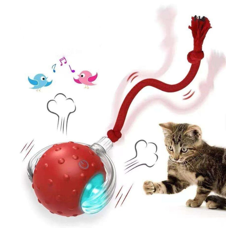 Red electric cat rolling ball toy with blue light and knotted red rope tail beside a cat