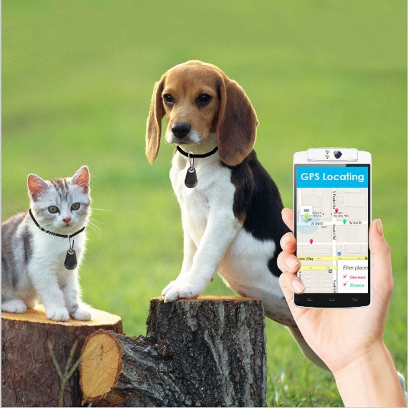 Dog and cat on logs with a hand holding a phone displaying a GPS app. YAXSO UAE ONLINE STORE