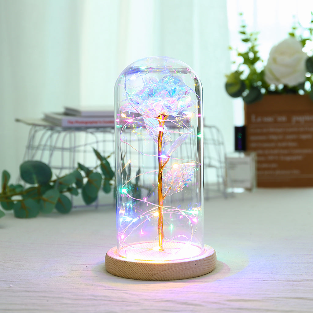 LED Rose Glass Dome Light Romantic Gift Decor Lamp