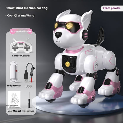 Smart stunt mechanical dog with remote control and accessories on a dark background