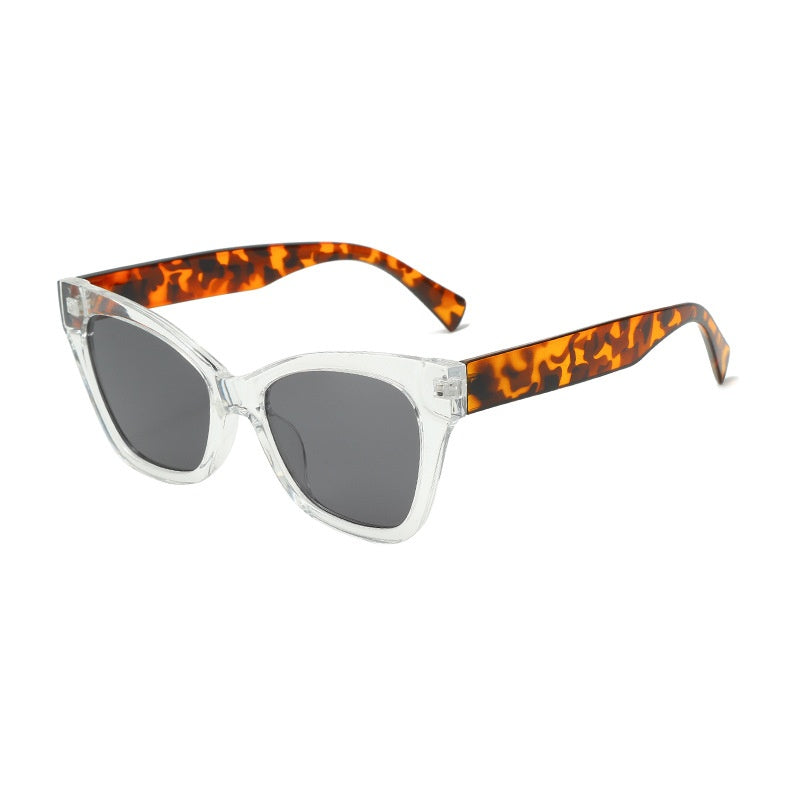 Clear acetate sunglasses with dark lenses and tortoise-pattern temple arms