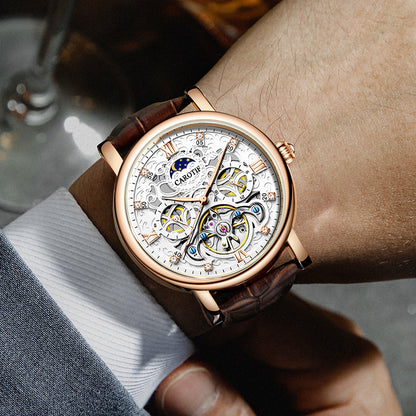 Luxury watch with brown leather strap on a wrist, blurred background