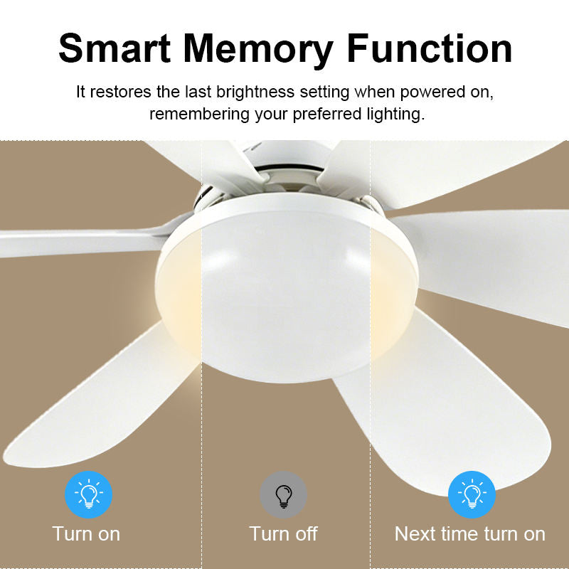White ceiling fan light with five broad blades and frosted globe